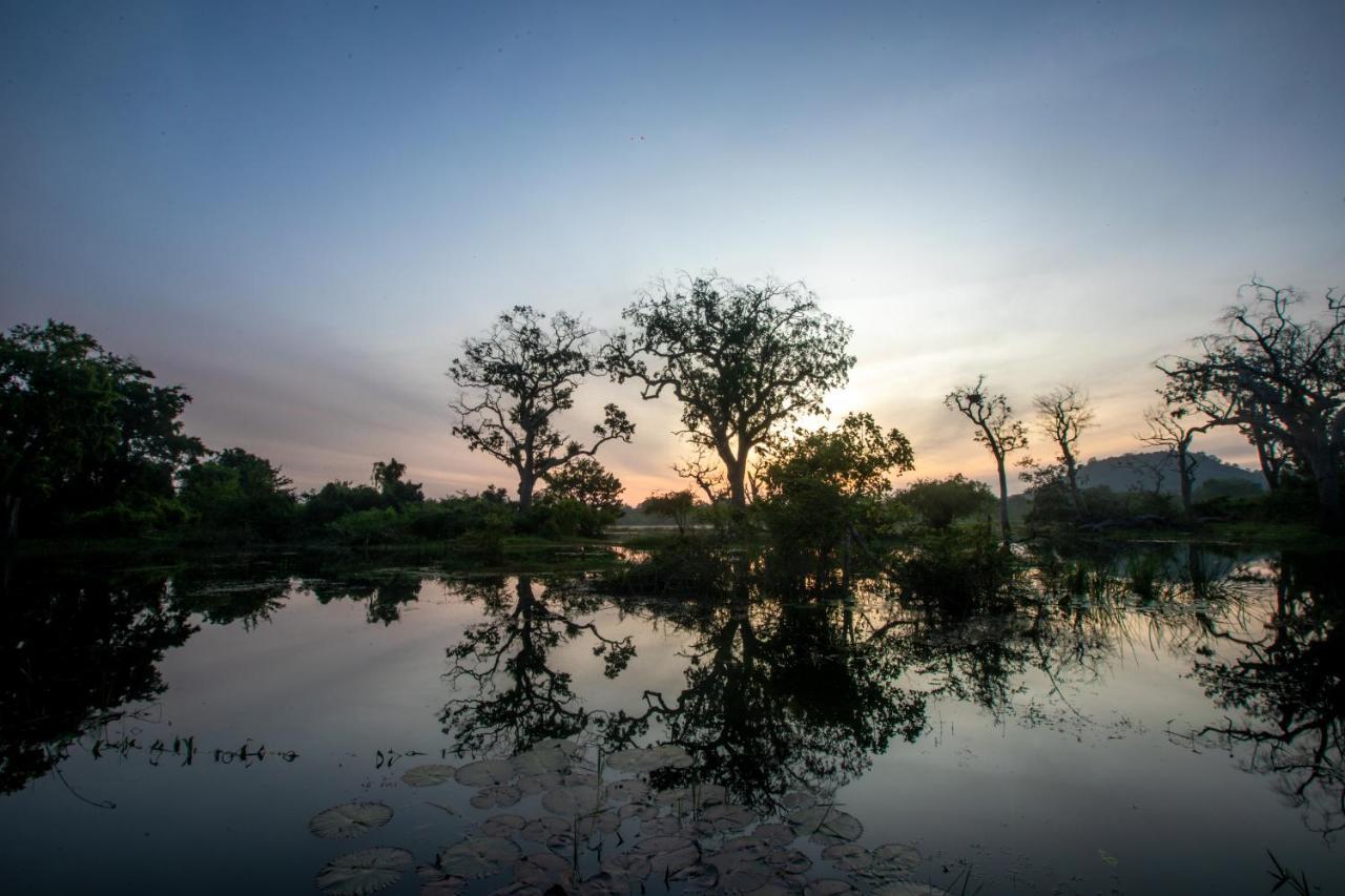 Hotel Leopard Trails Yala Esterno foto