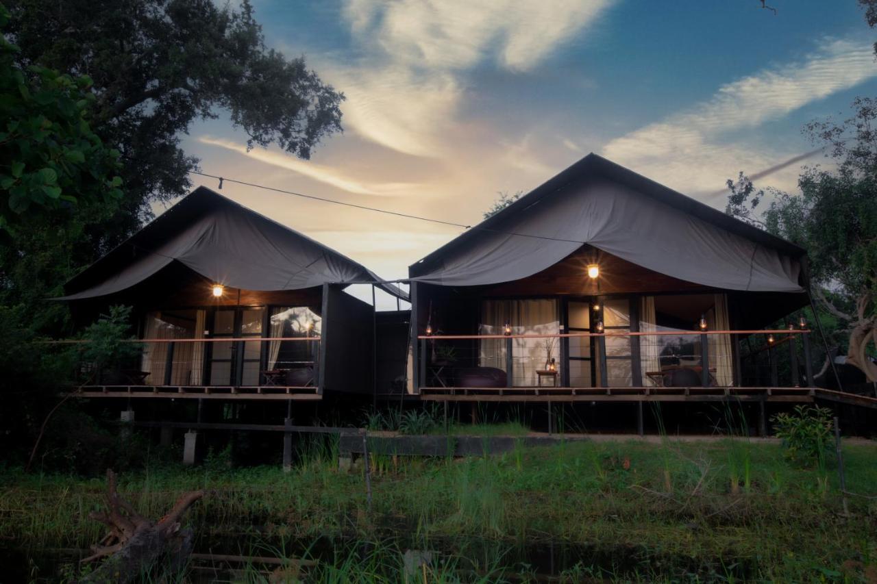 Hotel Leopard Trails Yala Esterno foto