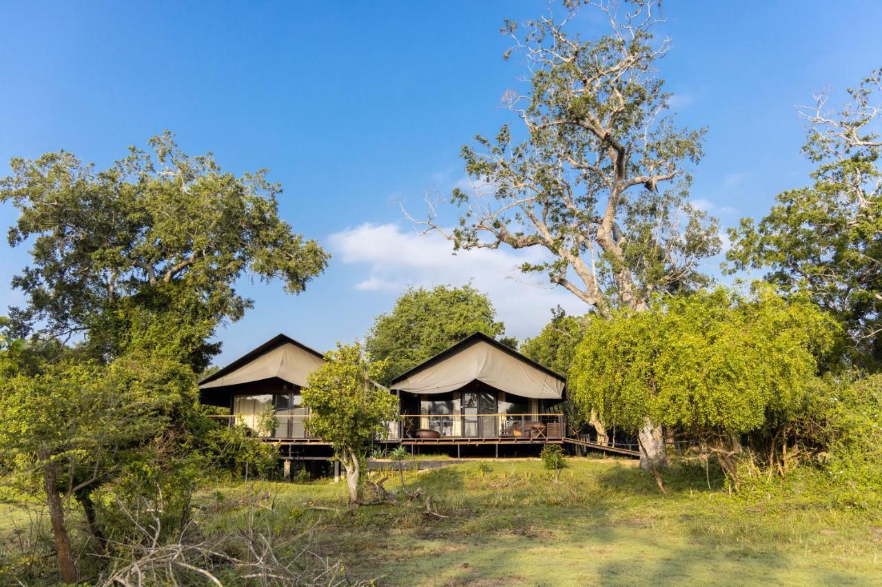 Hotel Leopard Trails Yala Esterno foto